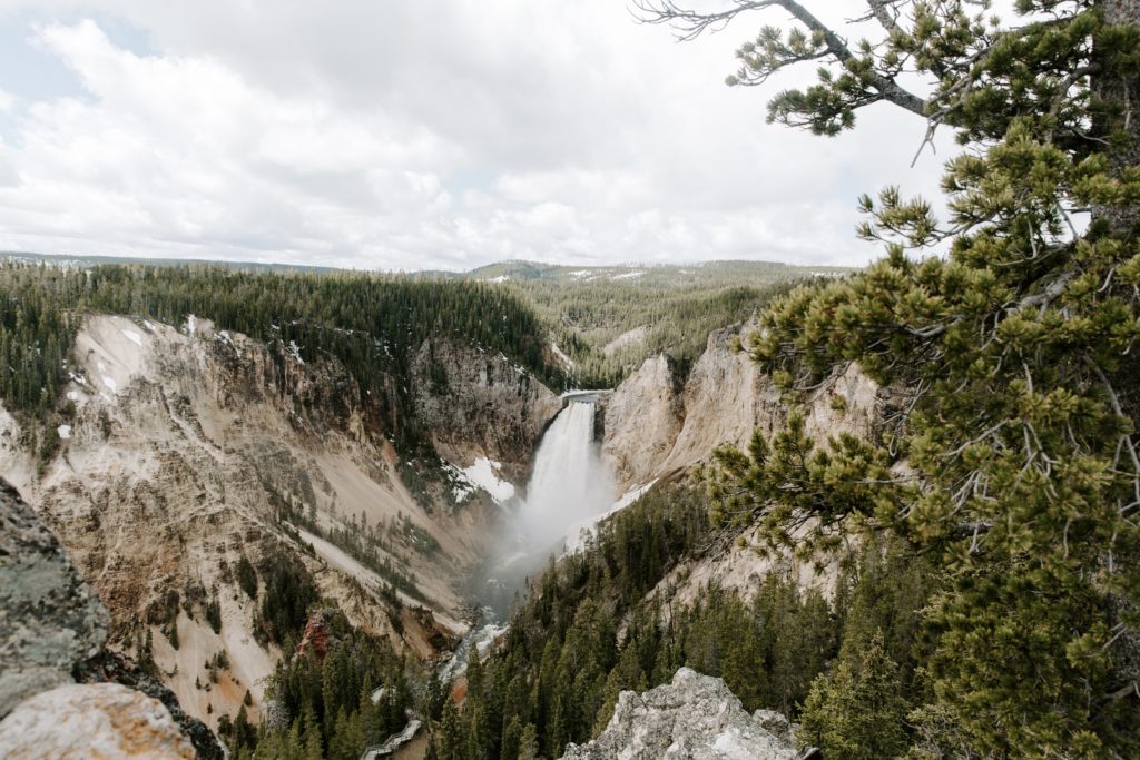 Upper falls of the Yellowstone River in Yellowstone National Park