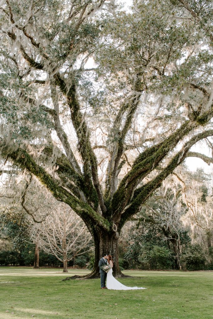Couple sharing a kiss under a large oak tree covered in moss after their intimate wedding in Florida