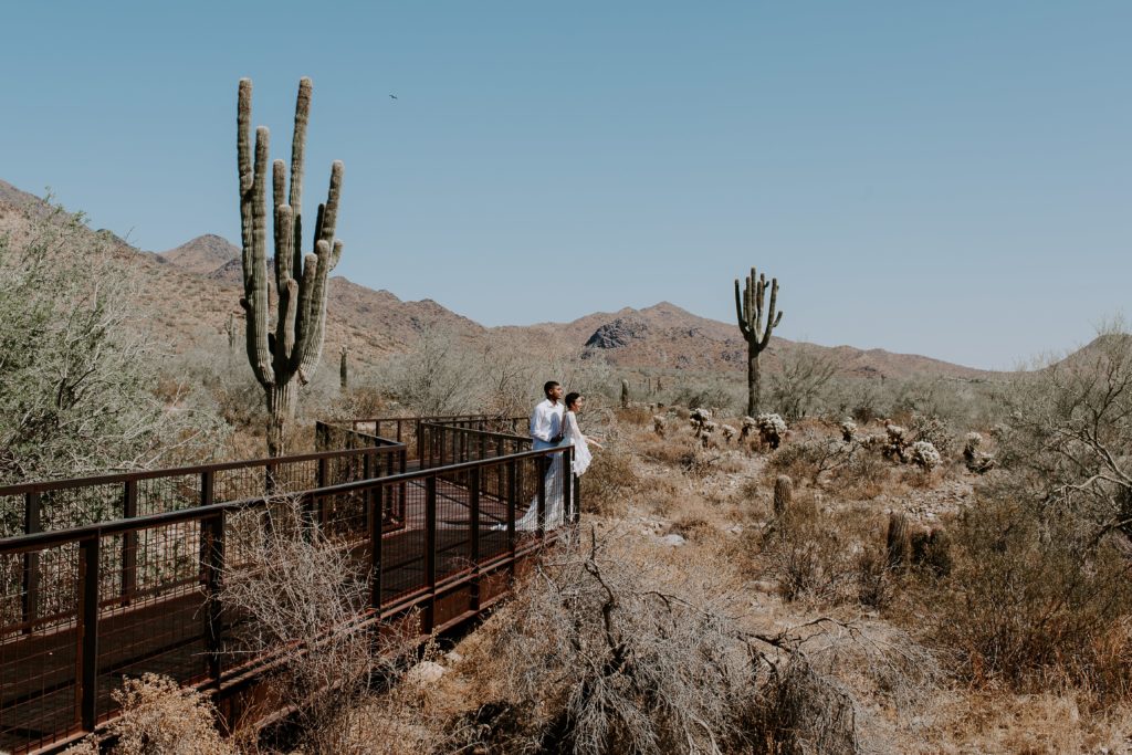couple standing on a walkway surrounded by cactus and other desert plants during their midday summer elopement in Arizona