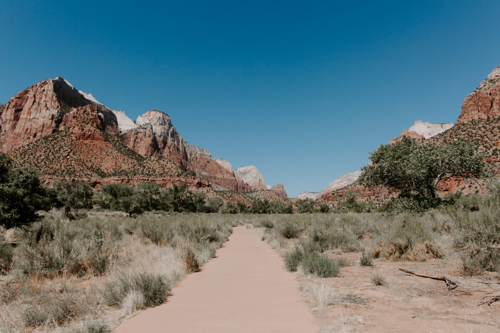 the valley of Zion National Park where couples can elope in a national park