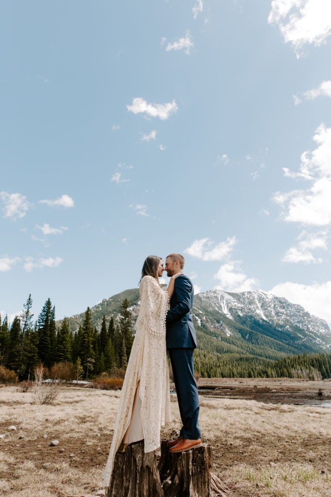 Couple standing on a tree stump as they are sharing a kiss with the mountains in the background