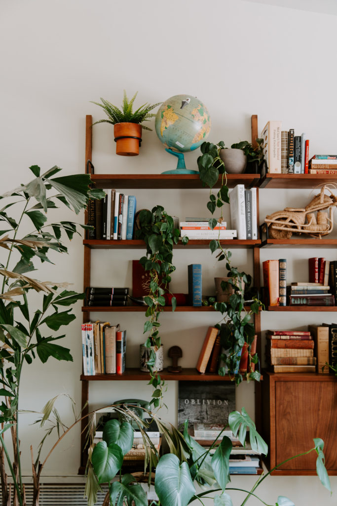 A book case with records and plants hanging down during an in-home couple session in California