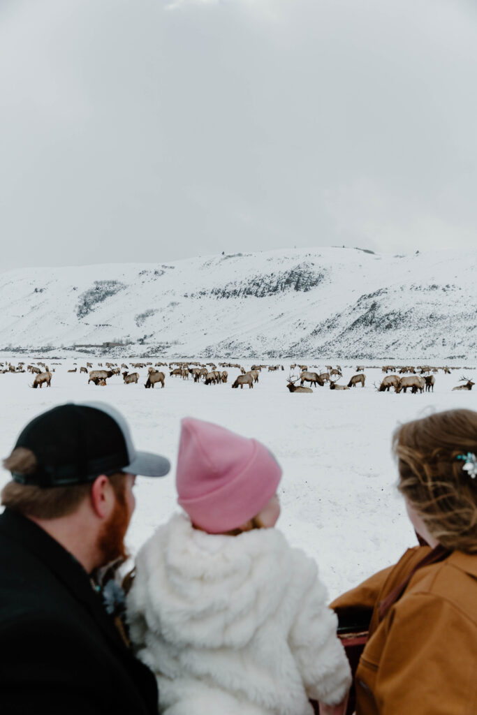 A family looking out at all the elk that are scattered throughout the snowy field and as more snow is starting to come down during their Wyoming elopement in Jackson hole
