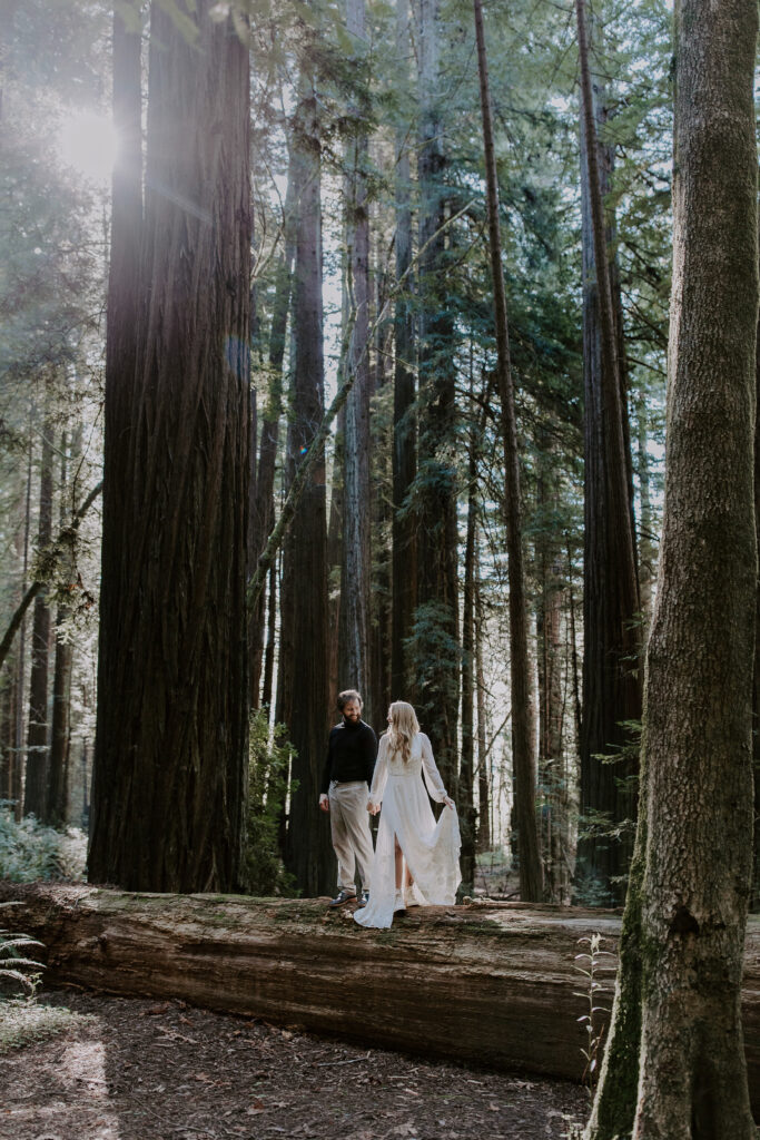 A couple holding hands and walking along a large fallen tree during a winter elopement in the Redwoods in California