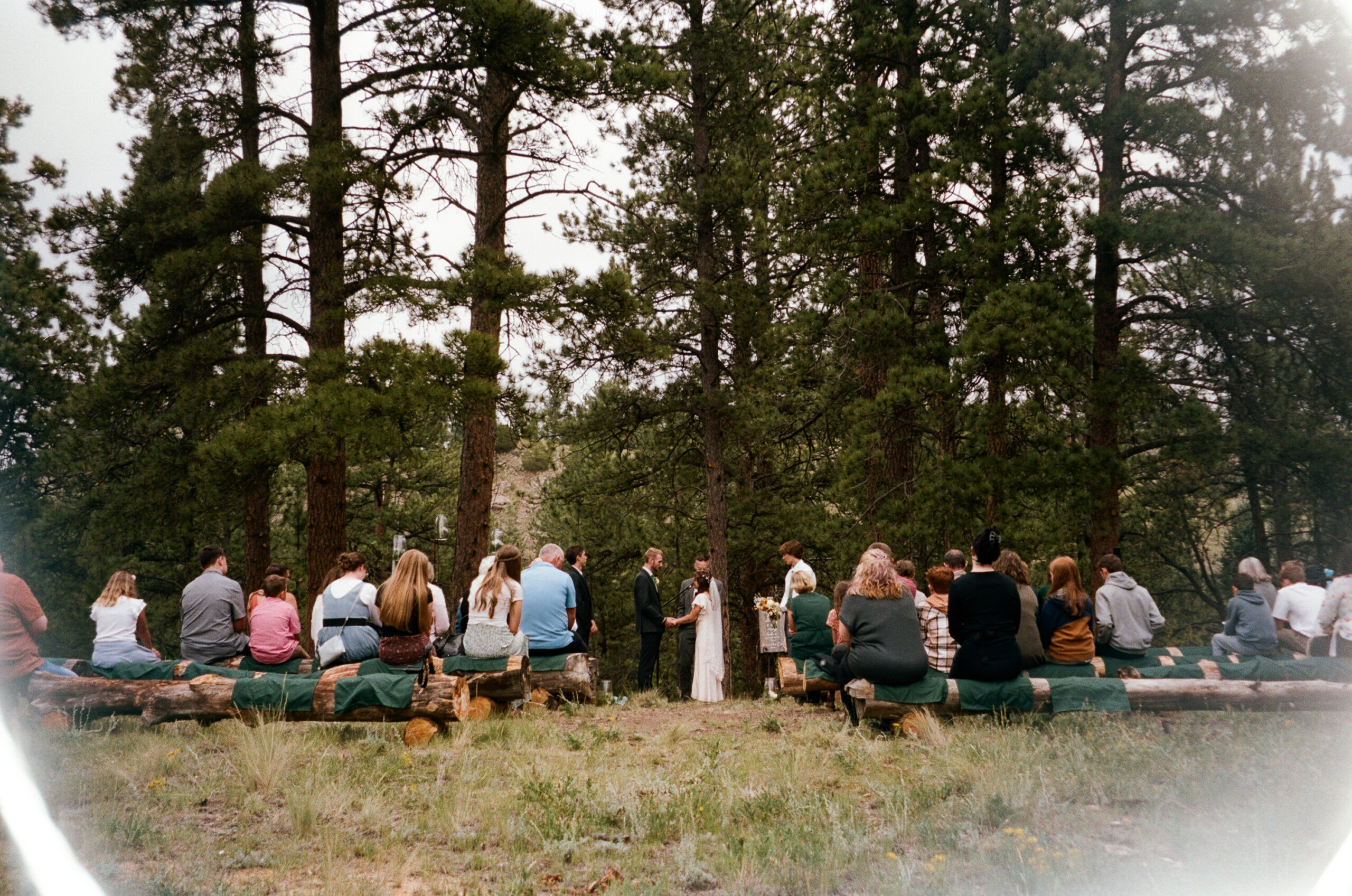 A couple holding hands in front of all their friends and family as they say their vows in a forest during their Colorado intimate wedding captured on 35mm film