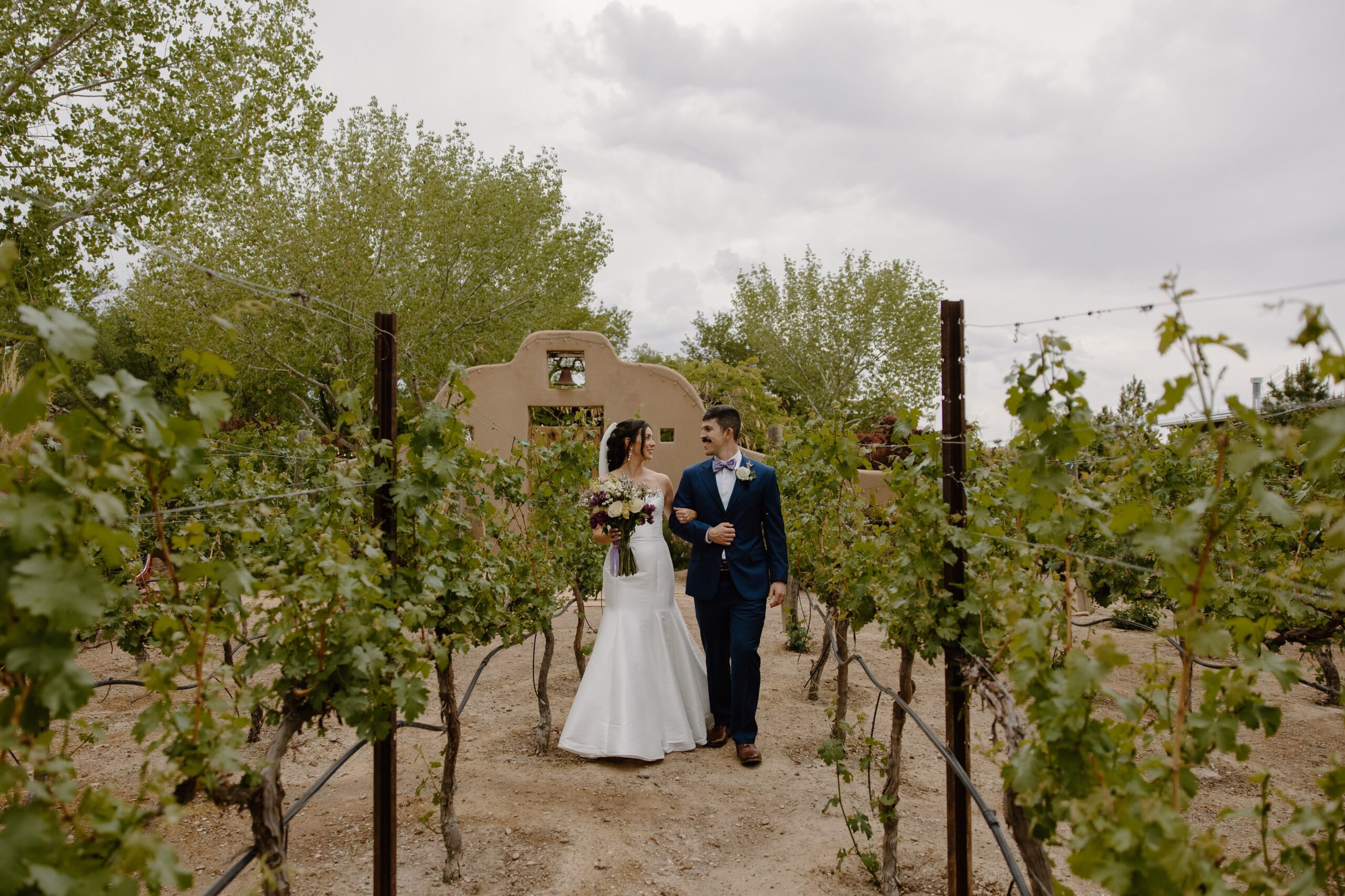 A newlywed couple with their arms wrapped around each other, walking through vineyards during a spring wedding in New Mexico