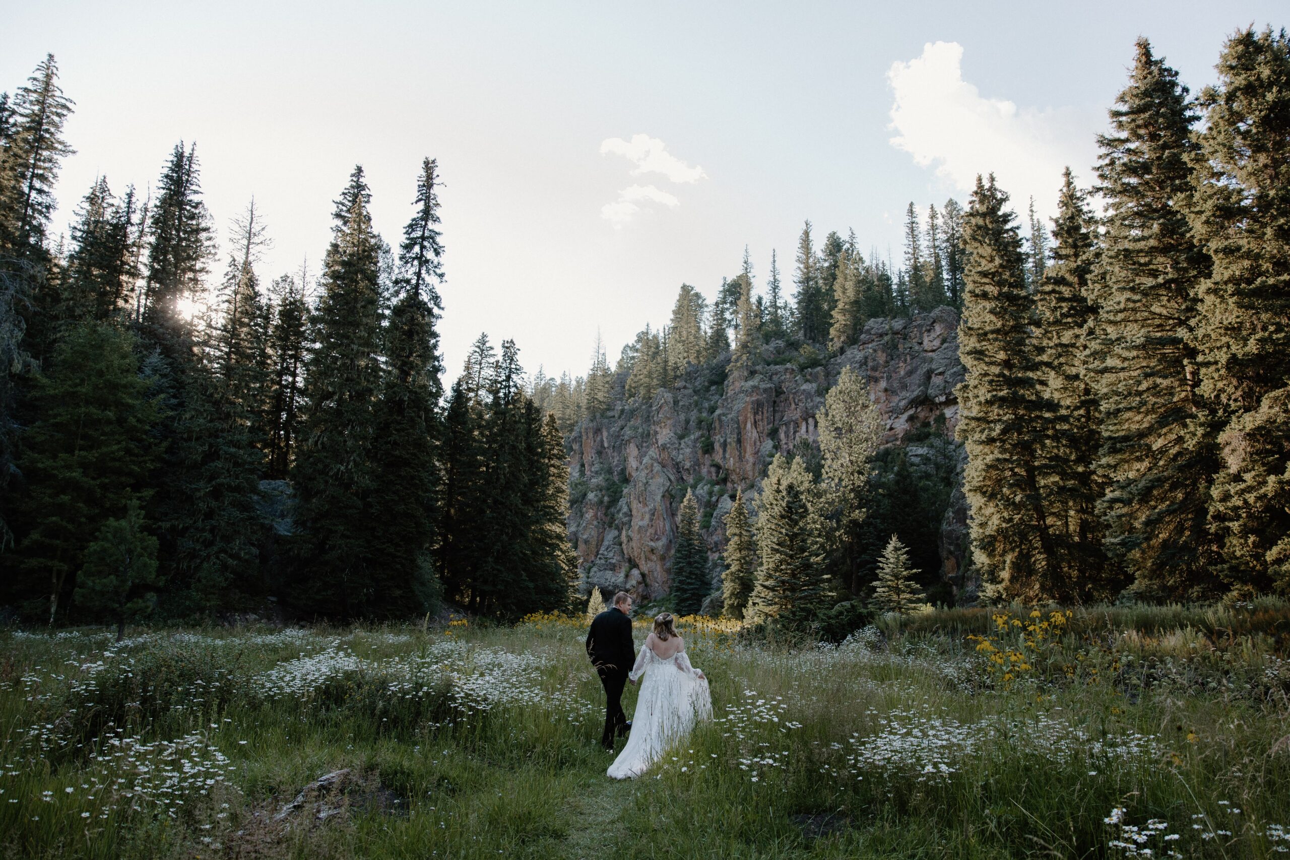 A couple in wedding attire holding hands and walking through tall grass surrounded by tall trees during a New Mexico elopement